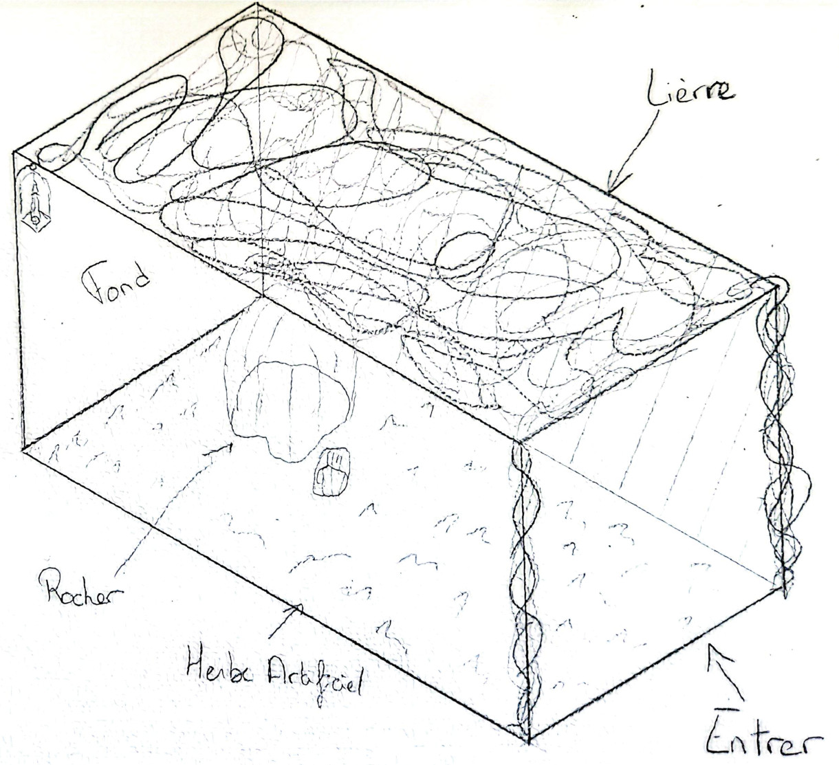 Schéma d'un box immersif fantasy de 3x3x6m avec éléments féériques
